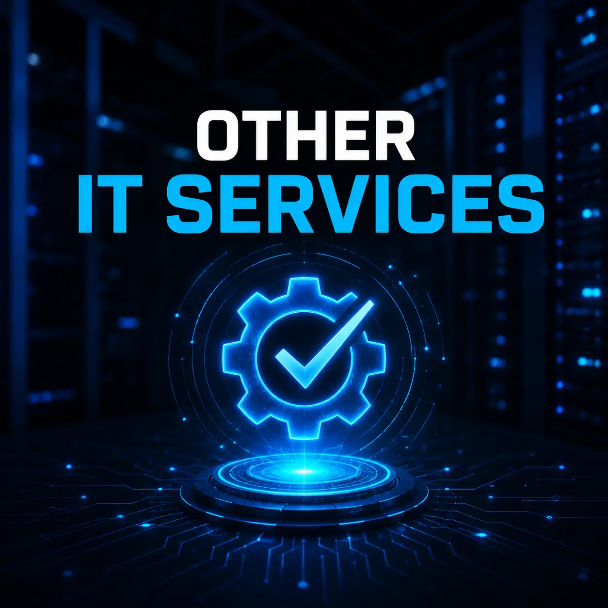Other IT Services